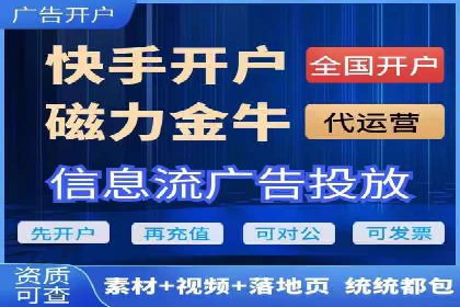 网络推广策略：竞价广告的实践案例